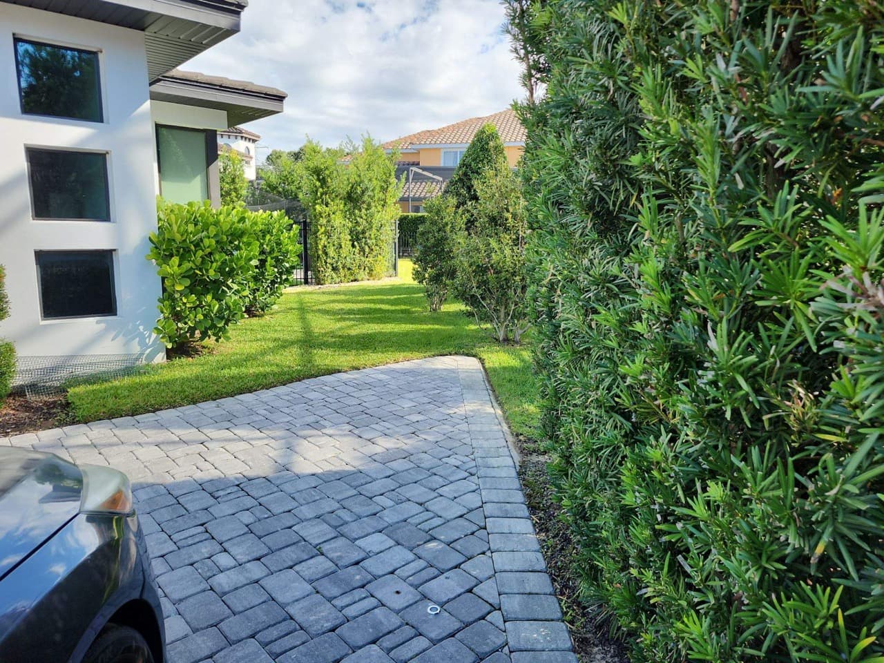 Manicured strip lawn with charcoal paver driveway, modern stucco home, and podocarpus hedge — Firsthand Lawn and Landscape